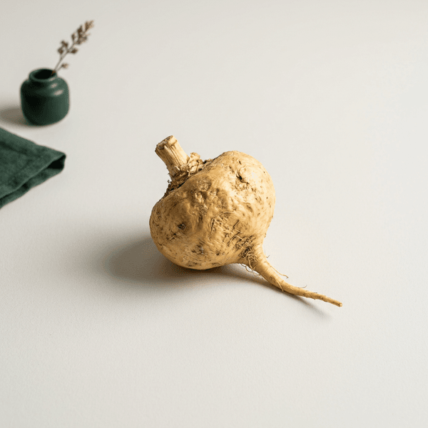Maca Kökü